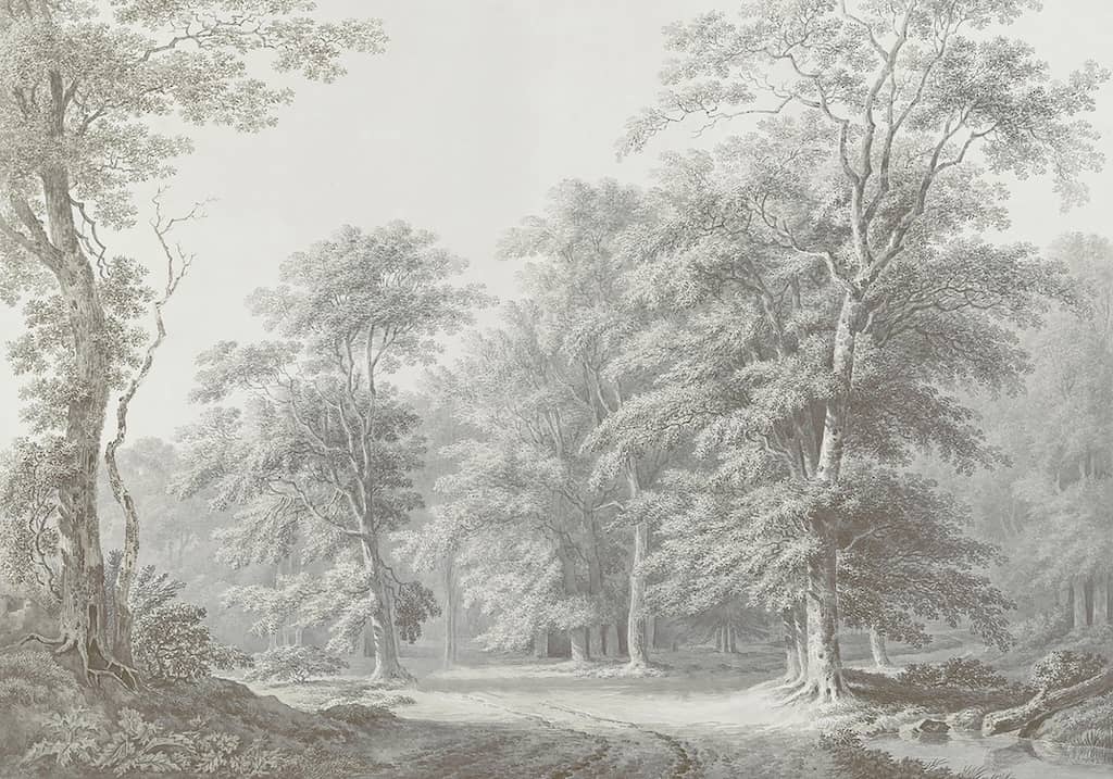 126899FXST - Graham & Brown - Art for the Home Stately Woodland Neutral Mural - Decor Warehouse