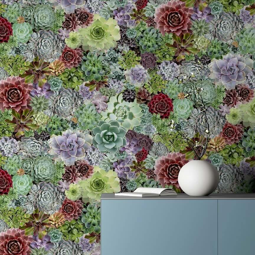 259402 - Arthouse - Arthouse Succulent Living Wall Multi Wallpaper - Decor Warehouse