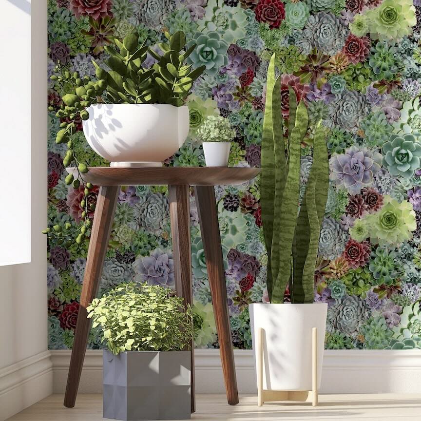 259402 - Arthouse - Arthouse Succulent Living Wall Multi Wallpaper - Decor Warehouse