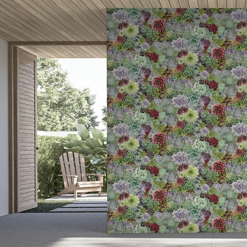 259402 - Arthouse - Arthouse Succulent Living Wall Multi Wallpaper - Decor Warehouse