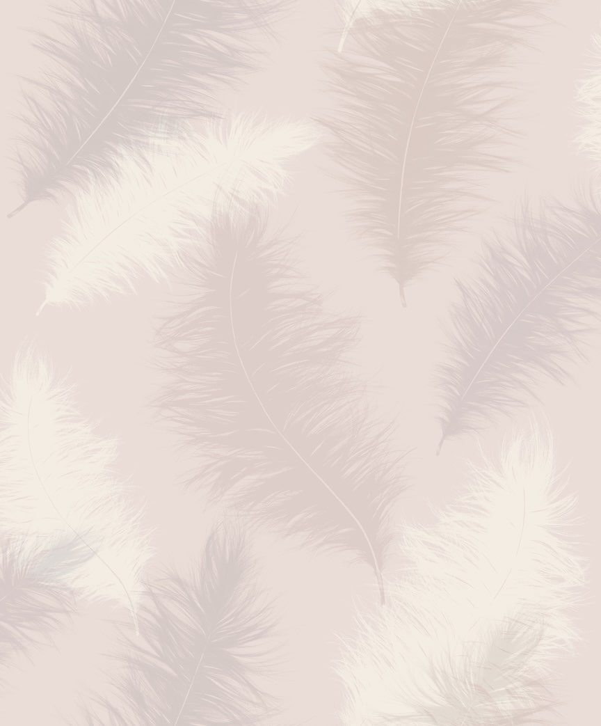 901706 - Arthouse - Arthouse Sussurro Blush Wallpaper - Decor Warehouse