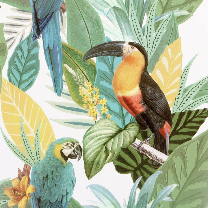 296803 - Arthouse - Arthouse Toucan Jungle Wallpaper - Decor Warehouse