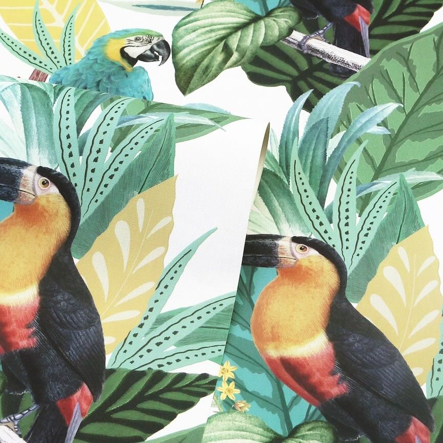 296803 - Arthouse - Arthouse Toucan Jungle Wallpaper - Decor Warehouse