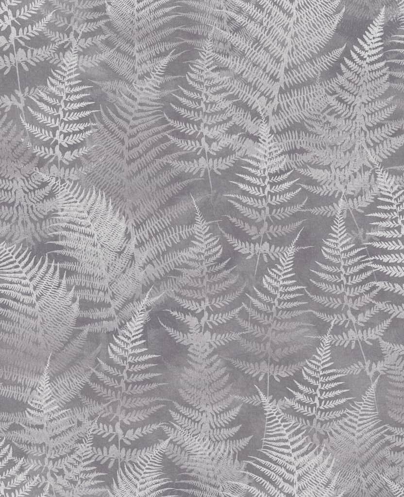 120368 - Clarissa Hulse - Clarissa Hulse Woodland Fern Pewter Wallpaper - Decor Warehouse