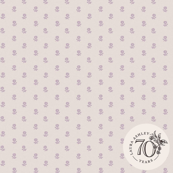 119864 - Laura Ashley - Laura Ashley Daisy Lavender Purple Wallpaper - Decor Warehouse