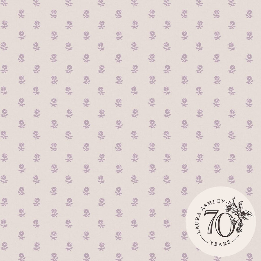 119864 - Laura Ashley - Laura Ashley Daisy Lavender Purple Wallpaper - Decor Warehouse