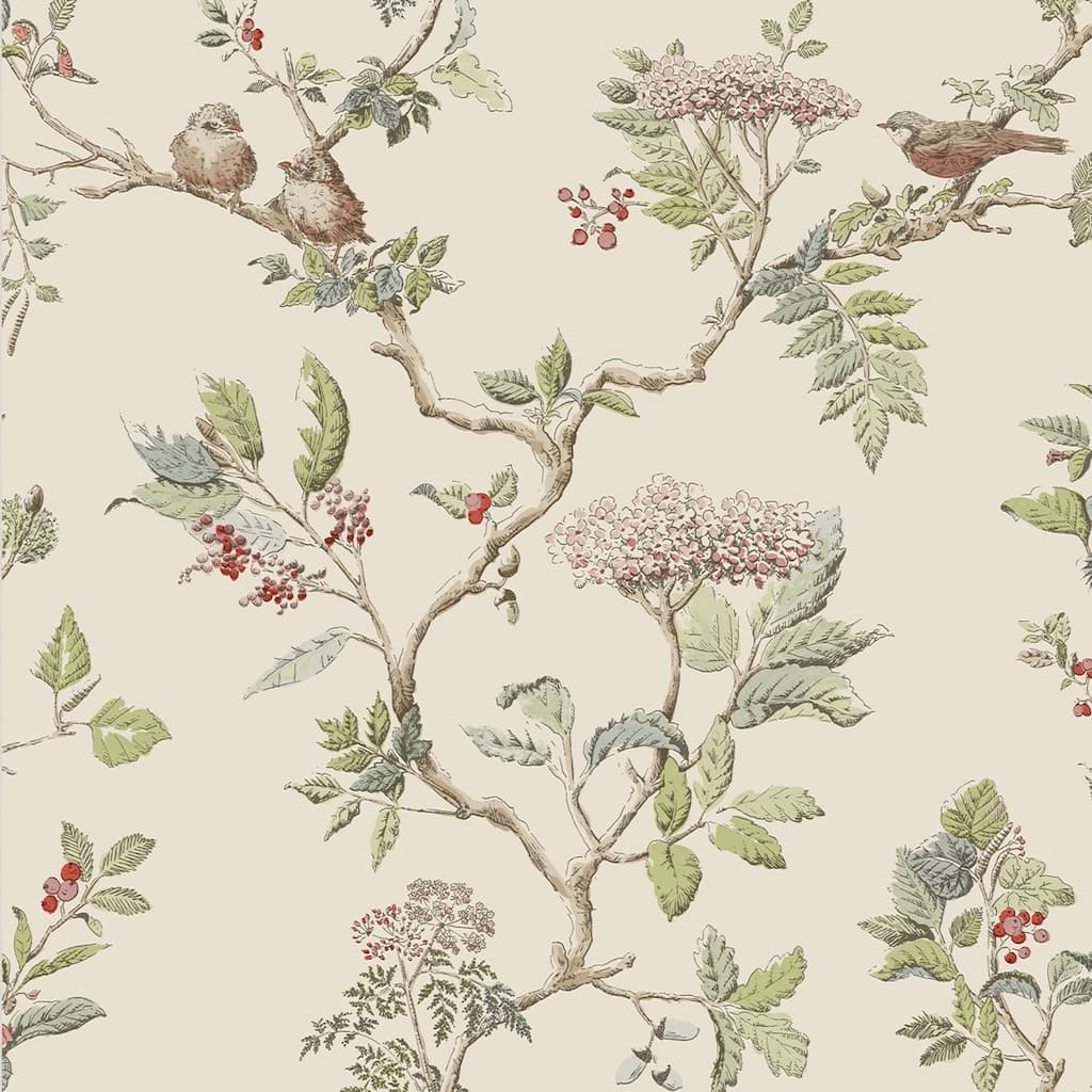 113346 - Laura Ashley - Laura Ashley Elderwood Natural Wallpaper - Decor Warehouse