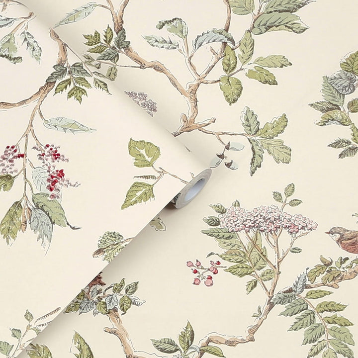 113346 - Laura Ashley - Laura Ashley Elderwood Natural Wallpaper - Decor Warehouse