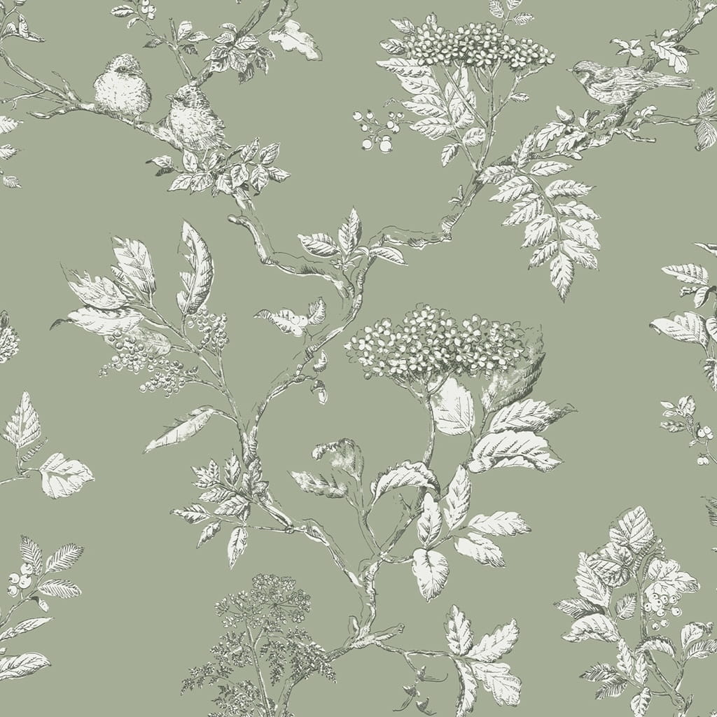 113348 - Laura Ashley - Laura Ashley Elderwood Sage Wallpaper - Decor Warehouse