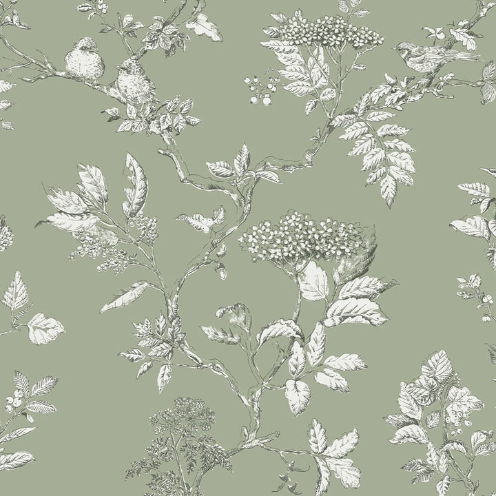 113348 - Laura Ashley - Laura Ashley Elderwood Sage Wallpaper - Decor Warehouse