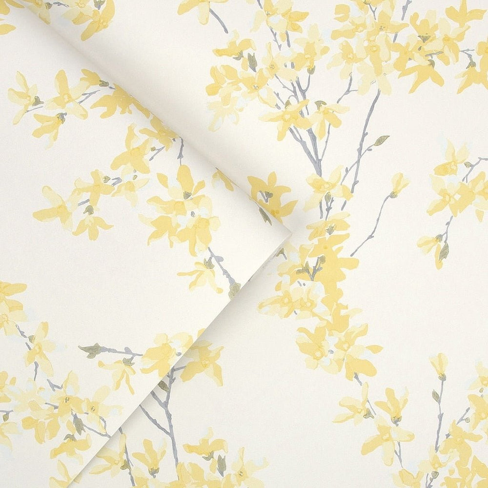 113350 - Laura Ashley - Laura Ashley Forstyhia Sunshine Wallpaper - Decor Warehouse