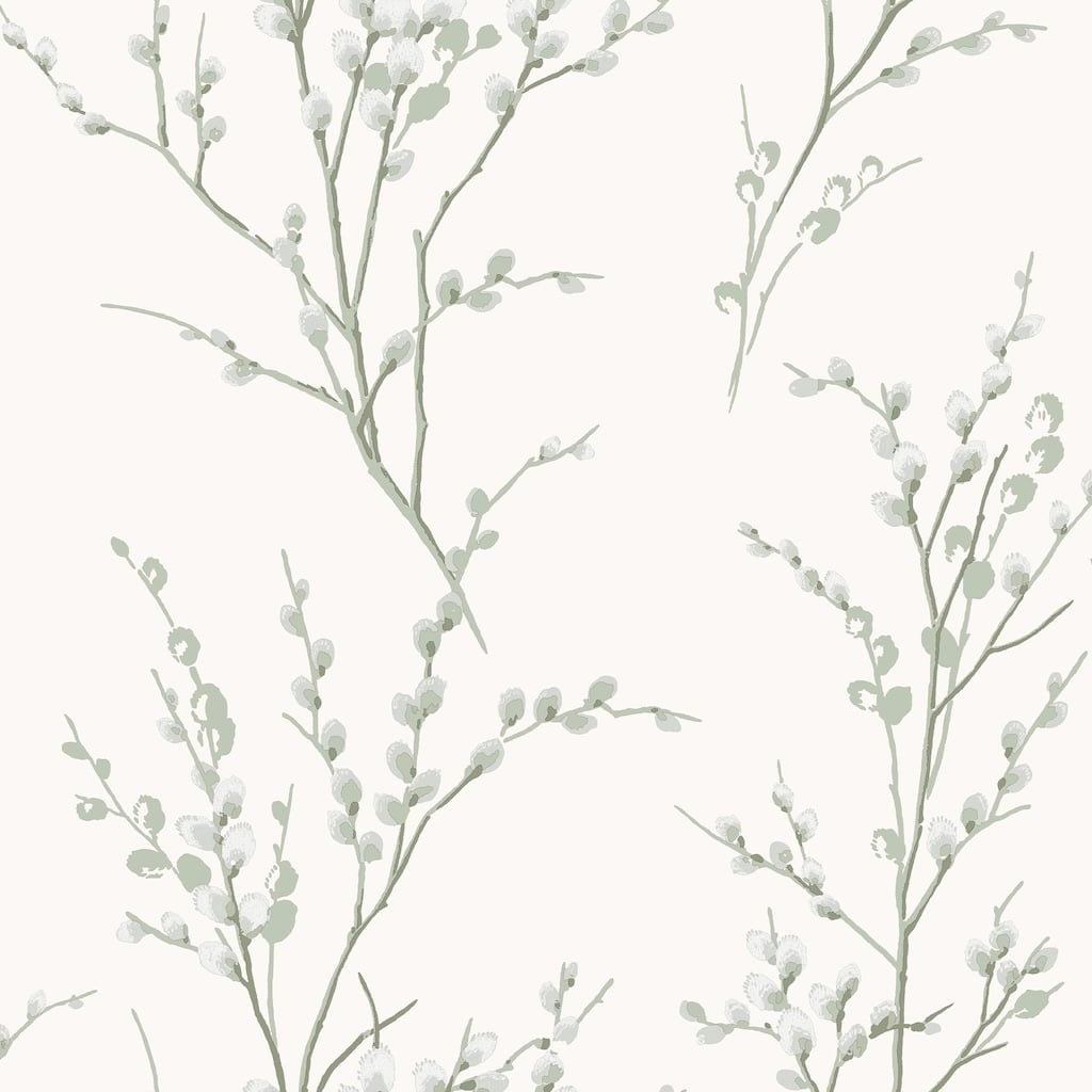 130115 - Laura Ashley - Laura Ashley Pussy Willow Sage Green Wallpaper - Decor Warehouse