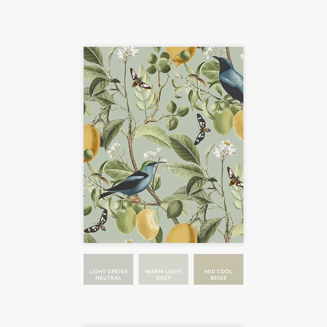 128834 - Next - Next Fruit Tree Summer Sage Wallpaper - Decor Warehouse