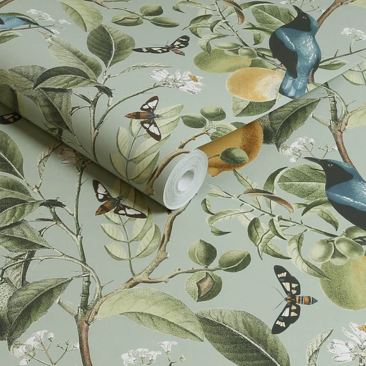 128834 - Next - Next Fruit Tree Summer Sage Wallpaper - Decor Warehouse