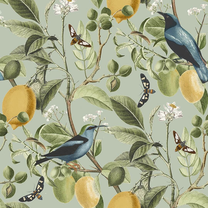 128834 - Next - Next Fruit Tree Summer Sage Wallpaper - Decor Warehouse