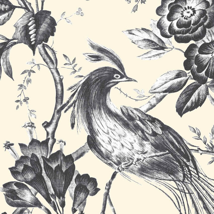 WM-368-01-Woodchip & Magnolia-Plumage Charcoal / Cream Wallpaper-Decor Warehouse