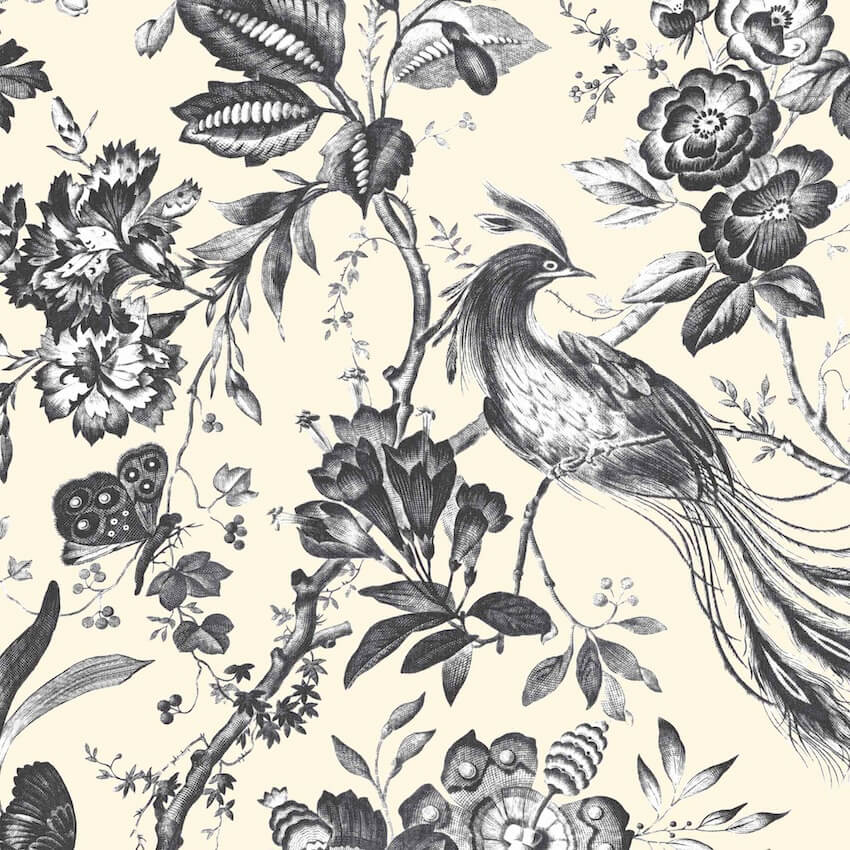 WM-368-01-Woodchip & Magnolia-Plumage Charcoal / Cream Wallpaper-Decor Warehouse