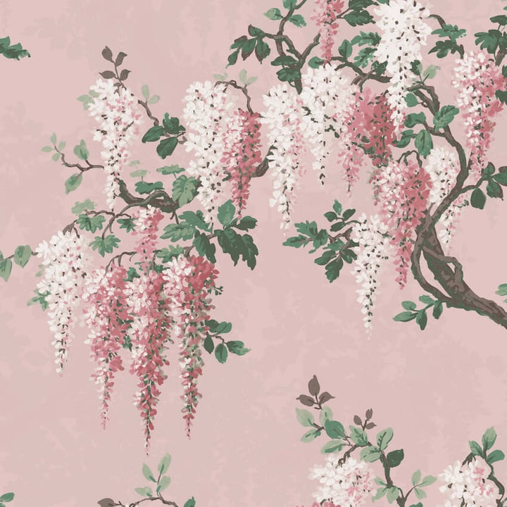 WM-218-Woodchip & Magnolia-Wisteria Pink Bloom Wallpaper-Decor Warehouse